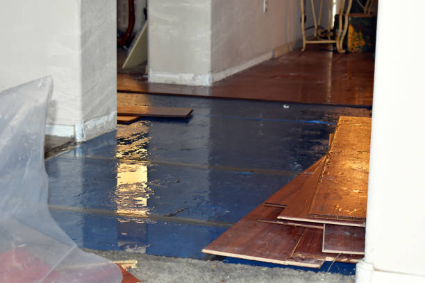 Professional Basement Flood Cleanup technician working in Clayton, WI